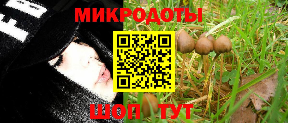 Псилоцибиновые грибы ЛСД  как найти   Искитим  Вход с VPN 
