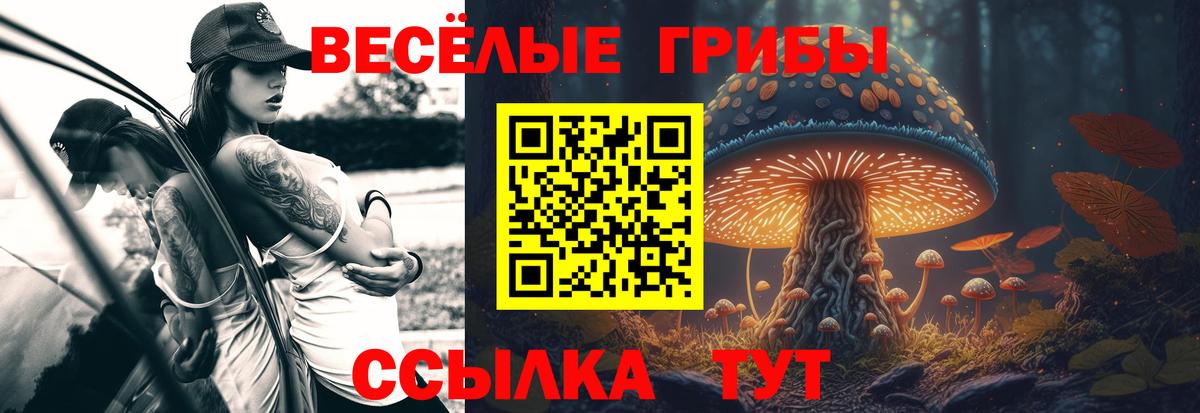 Галлюциногенные грибы мухоморы Искитим